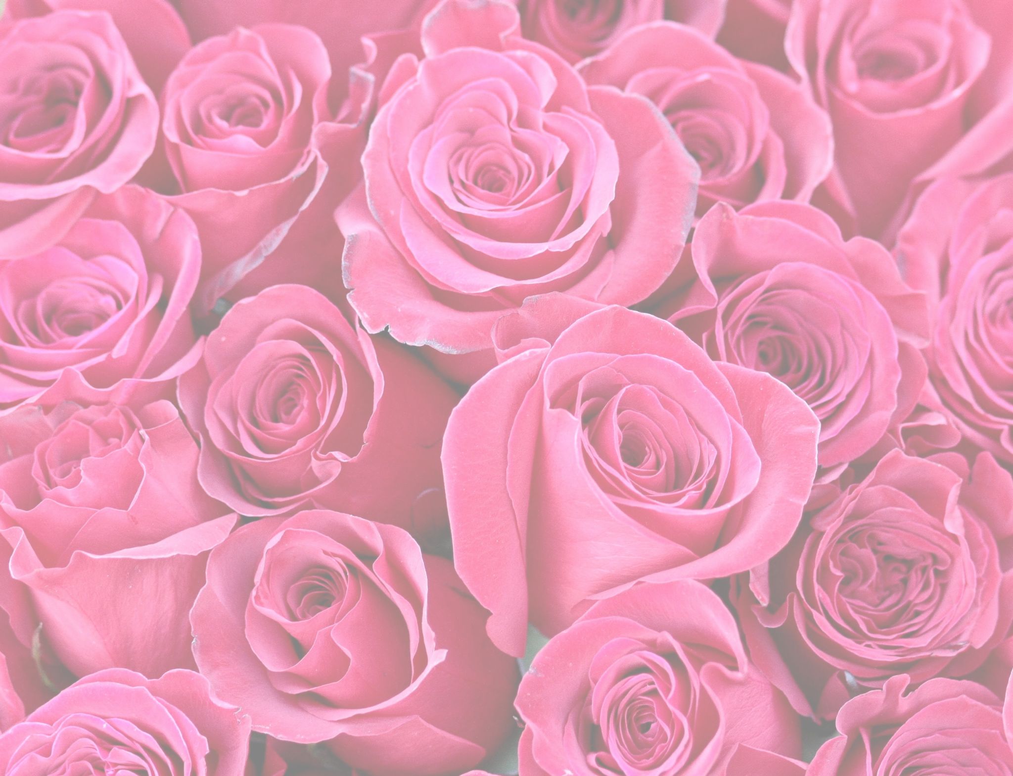 Cover for Rosie Gonzales's Obituary