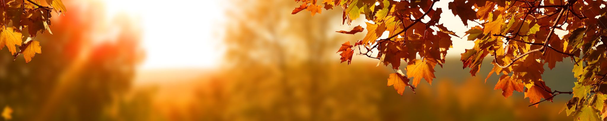 Cover photo for Christine Martin's Obituary