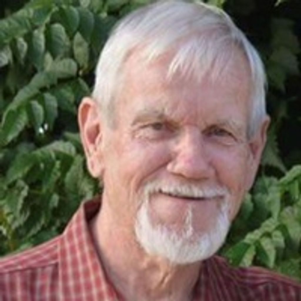 David Tomlin