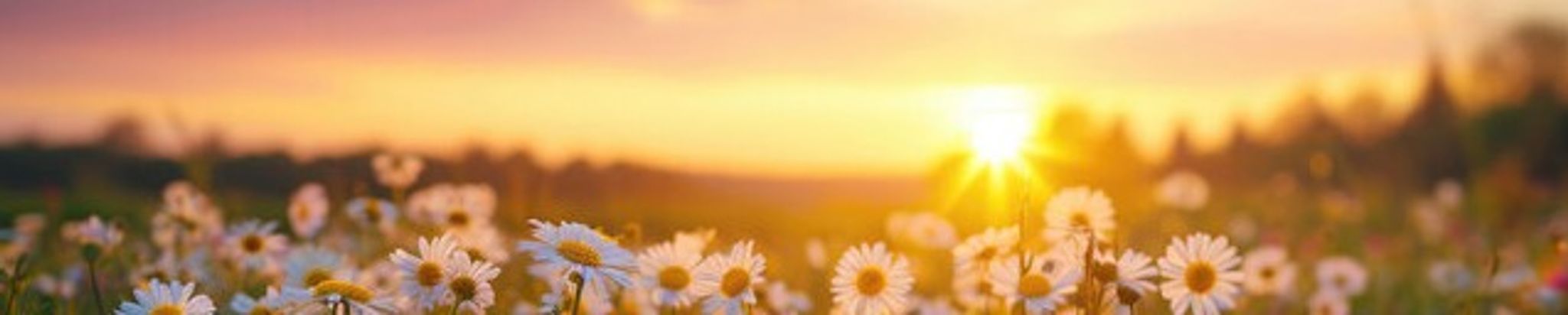 Cover for Crystal Lyn Wiebe's Obituary