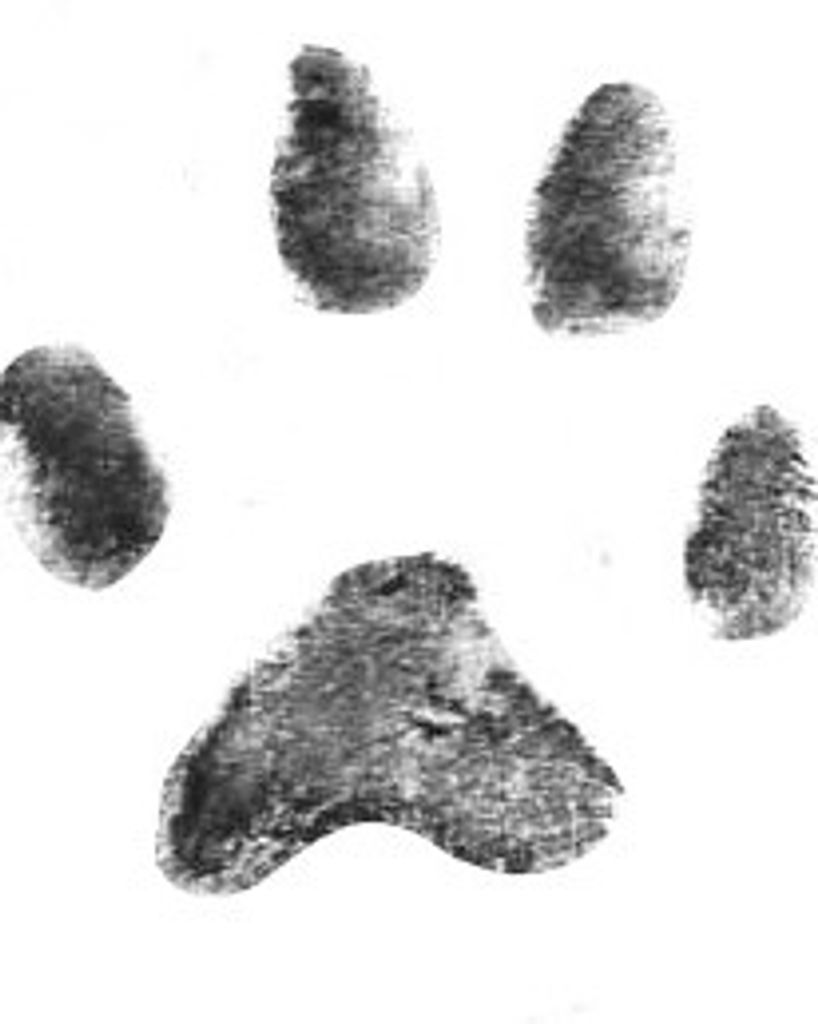 Jade McDaniel Profile Photo