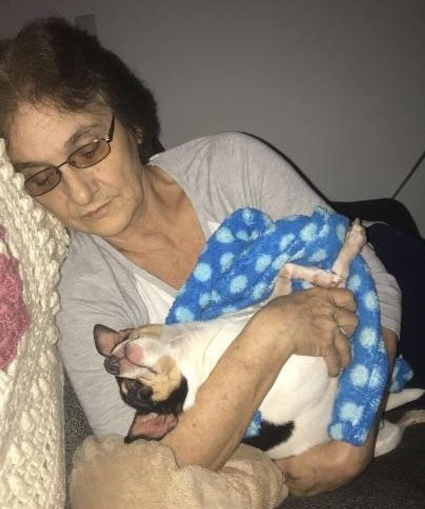 Debra J. Caron Profile Photo