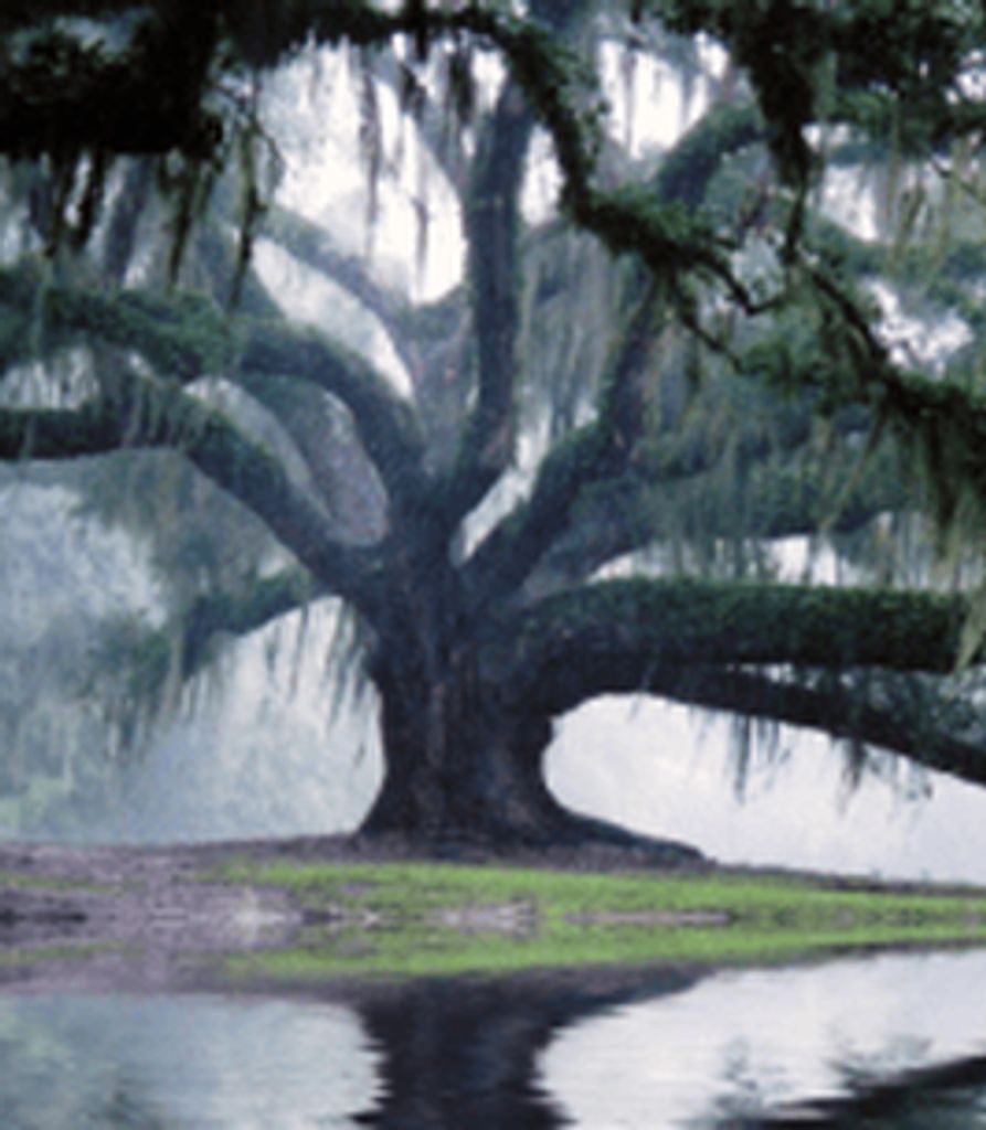 Eloise Thompson Profile Photo