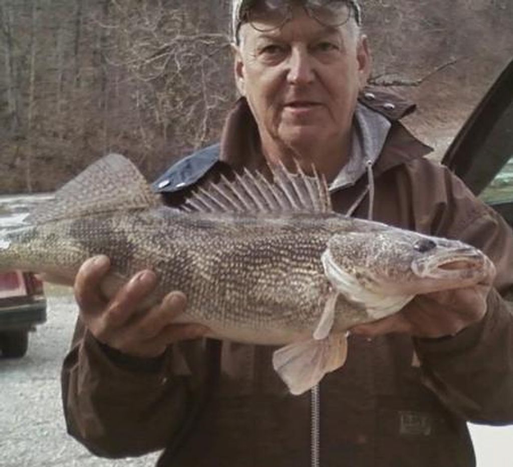 Roger Leisure