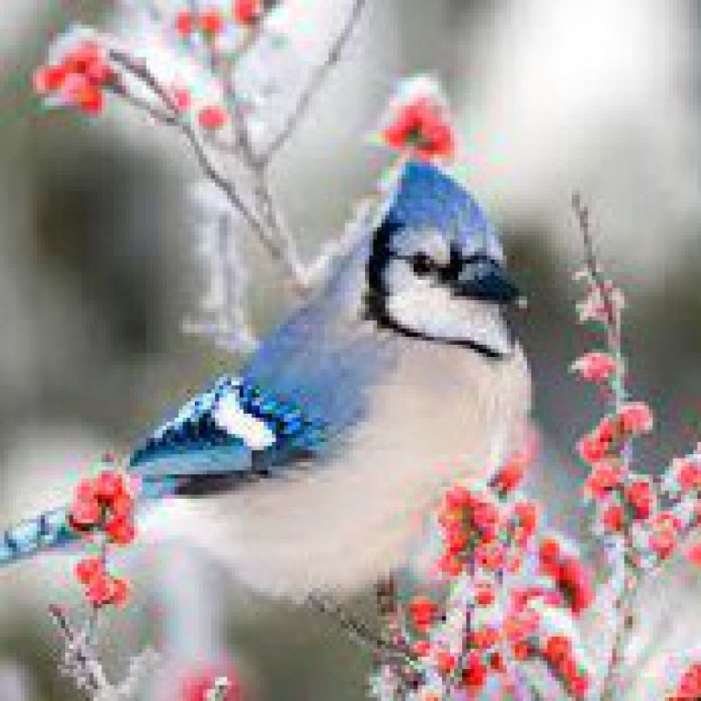 Londa Elaine Danner Profile Photo