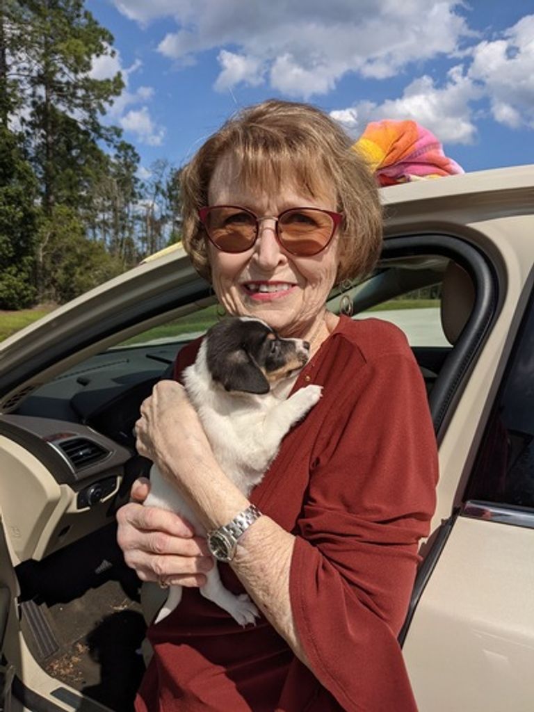 Linda Gail Tallent Profile Photo