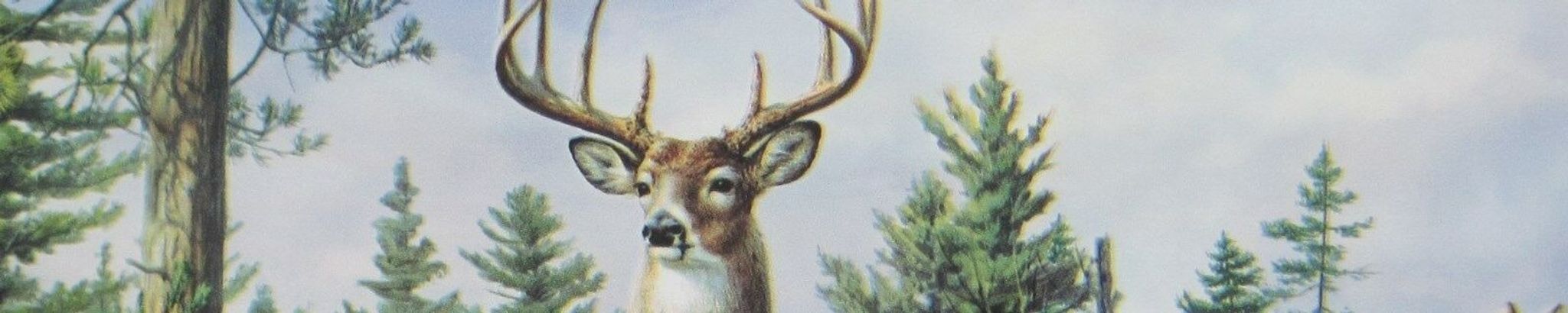 Cover photo for Thomas C. Spencer's Obituary