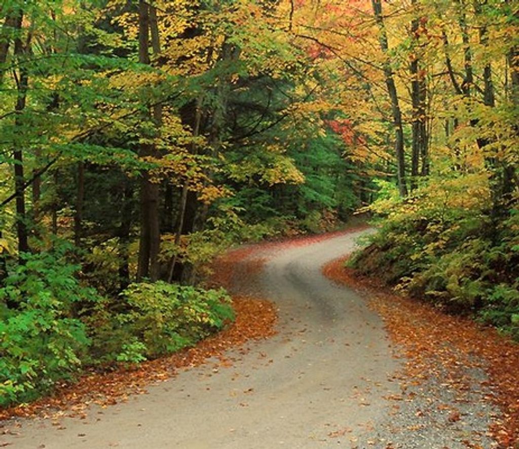 Craig Jesse Filiault Profile Photo