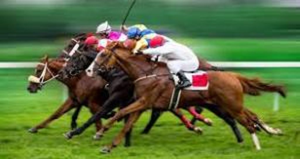 Saverio "Sal" A. Patella Profile Photo