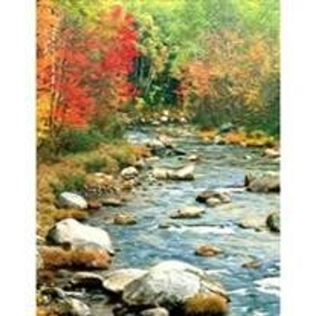 Robert Morris Bruce Ii