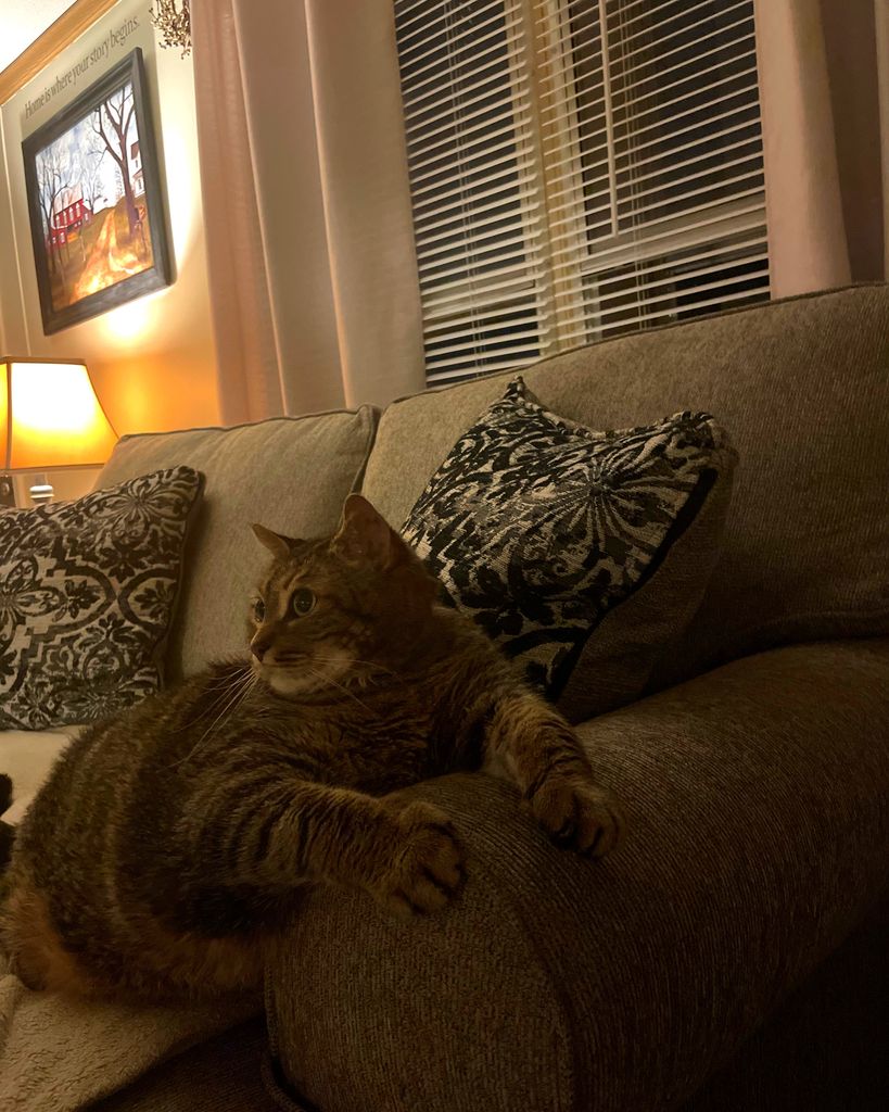 Peewee Chaney Profile Photo