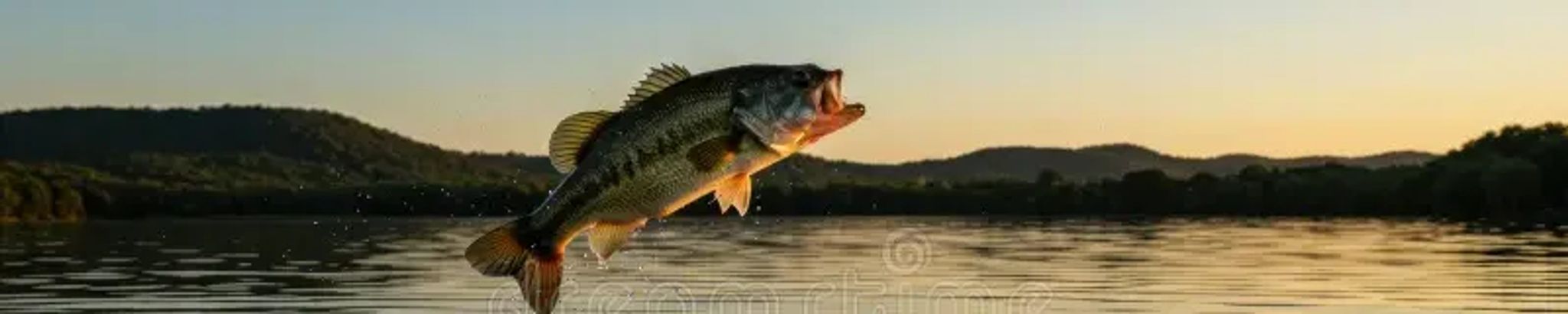 Cover for David R. McCool's Obituary