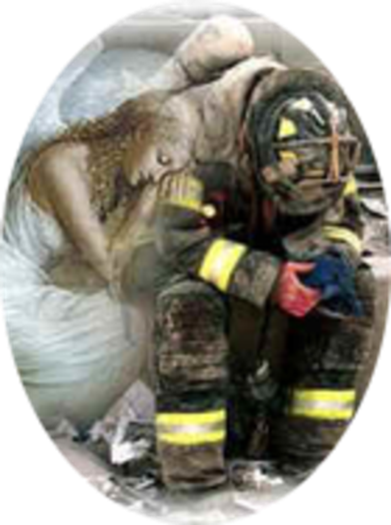 Charles Harvey Stebbins Jr.