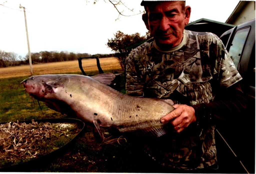 Larry Cooper Profile Photo