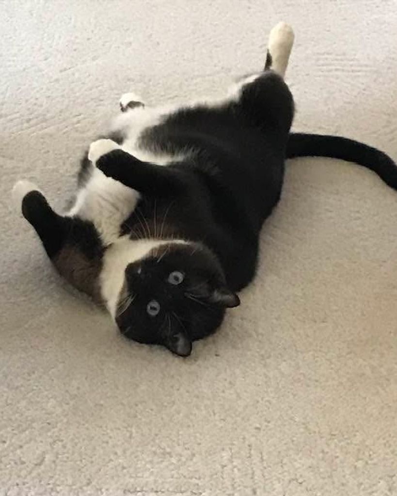 Tony Hallinan Profile Photo