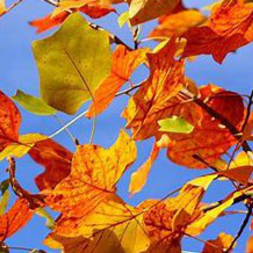 Gregory N. Owens Profile Photo