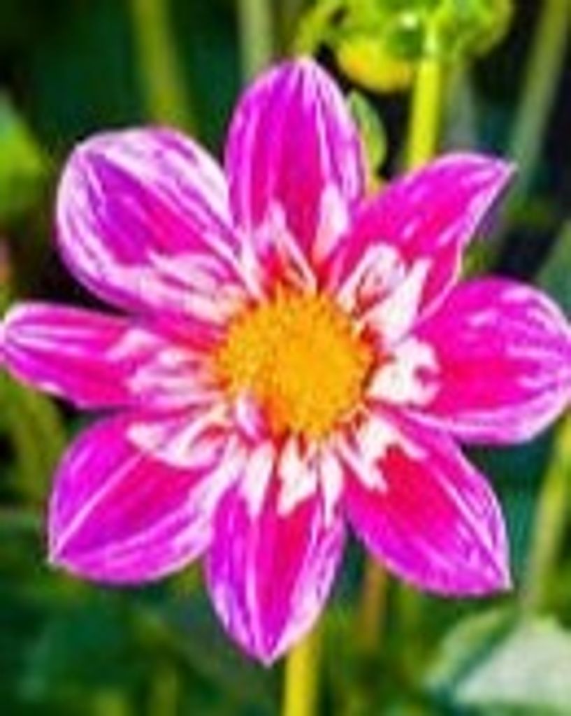 B. Jean Cochran Profile Photo