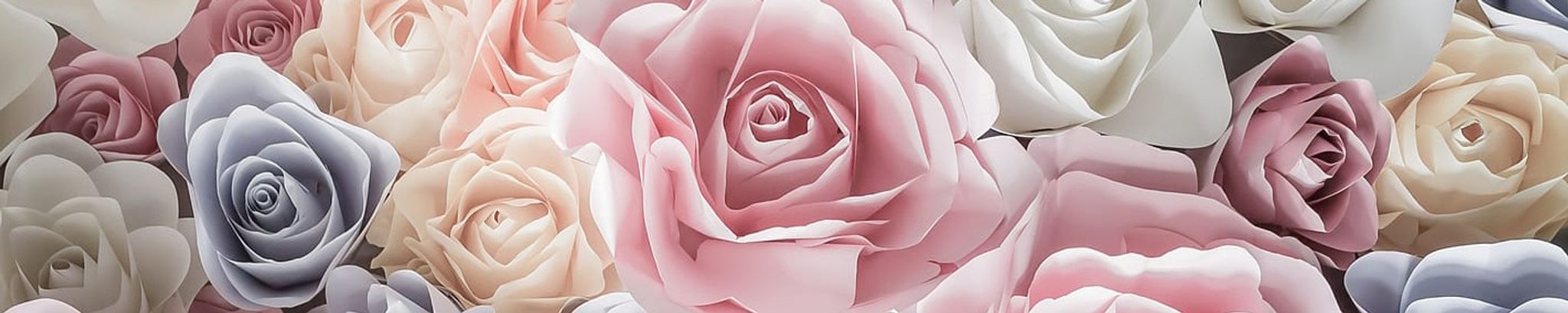 Cover photo for Maria De Socorro Andrade's Obituary