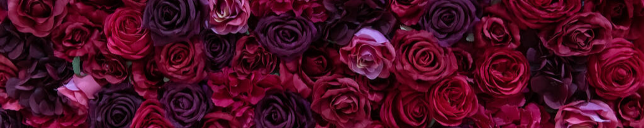 Cover for Shirley G Lewis's Obituary