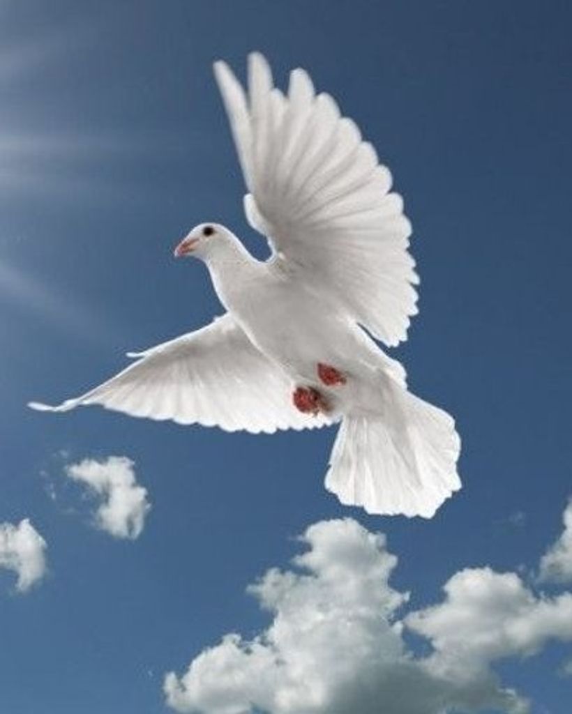 Sara Barnes Profile Photo