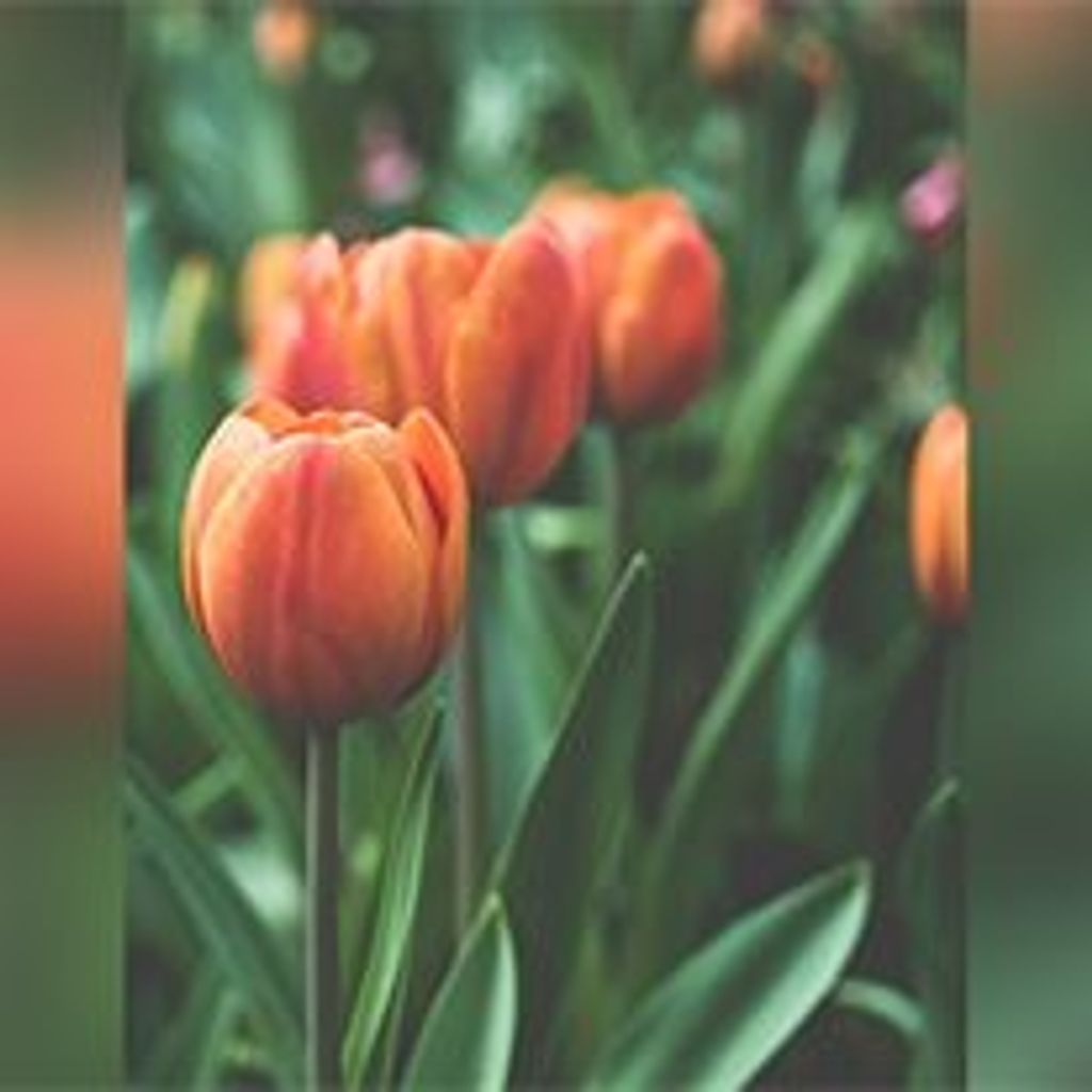 Charleen "Peaches" L. Kremke Profile Photo