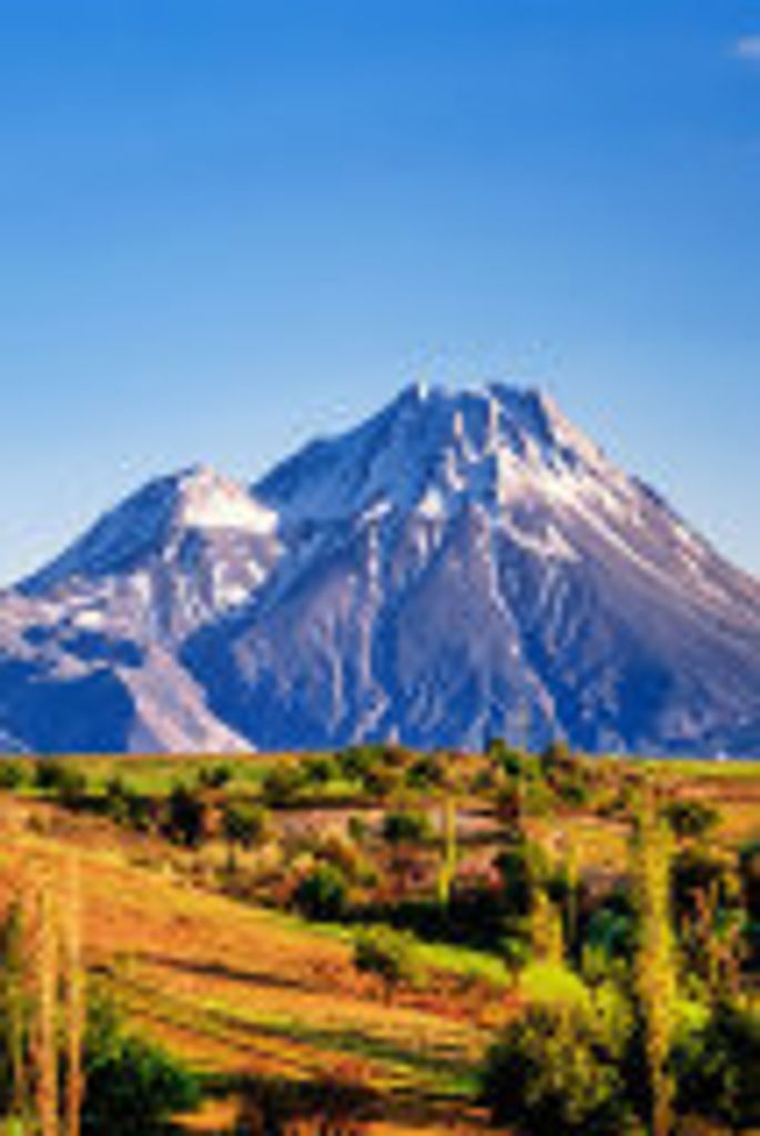 Lavinia  Jane Read Profile Photo