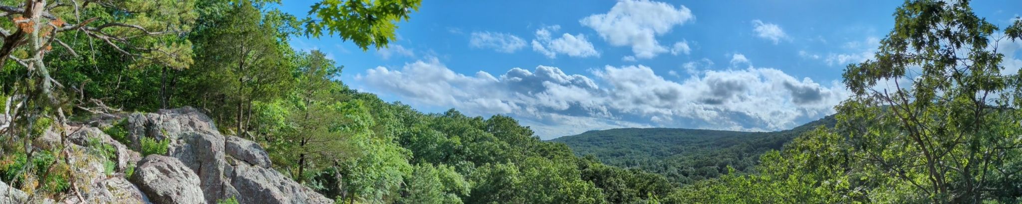 Cover for Noah James Burrow's Obituary