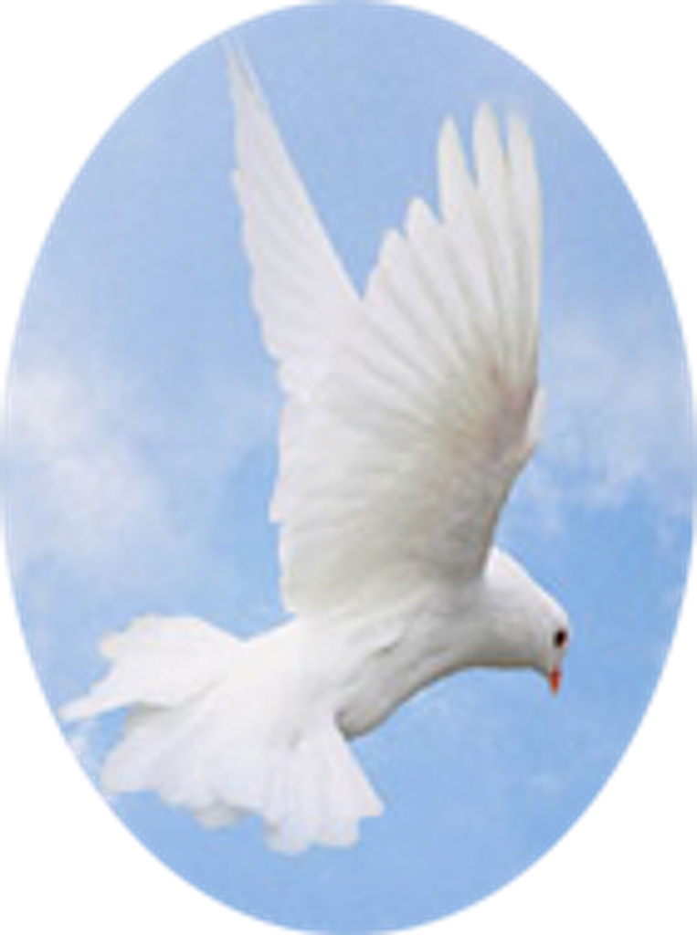 Teresa K. Edmands Profile Photo