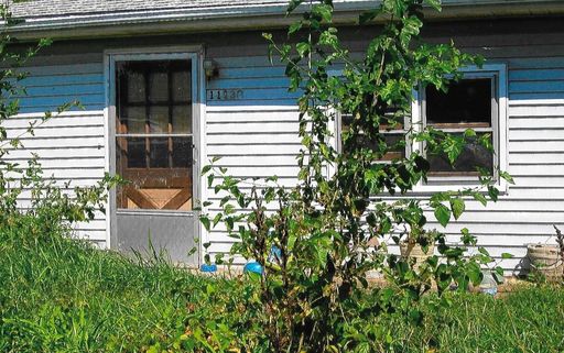 Linda L. Dilling photo gallery thumbnail 77 of 79