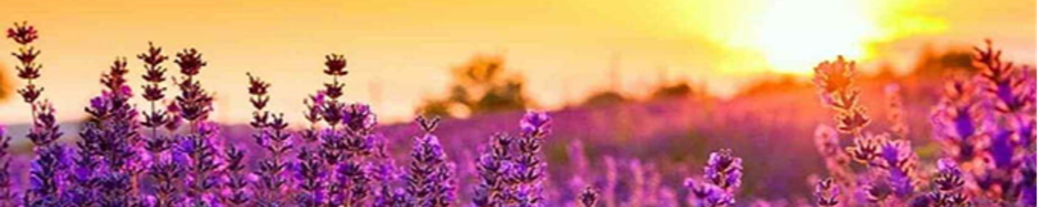 Cover photo for Teresa Davis's Obituary