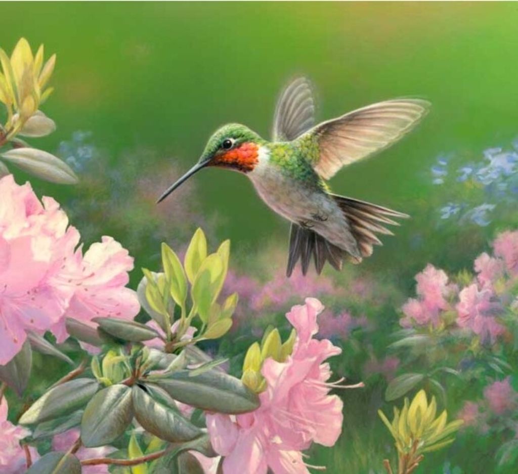 Patricia Susan Bowman