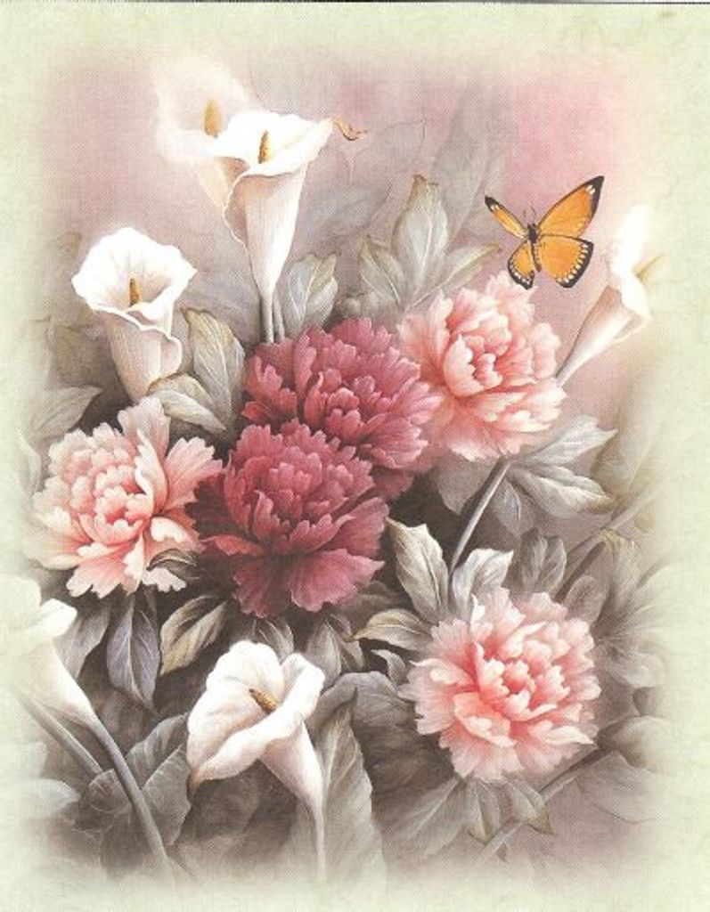 Alinda D Daniels Johnson