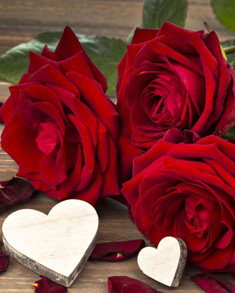 Maria Juanita Perez Profile Photo