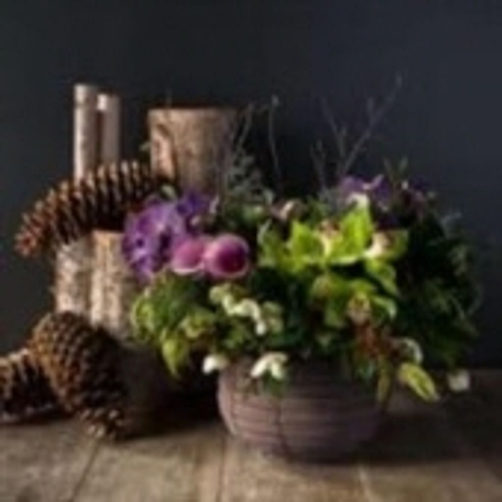 Marilyn Jean Violett