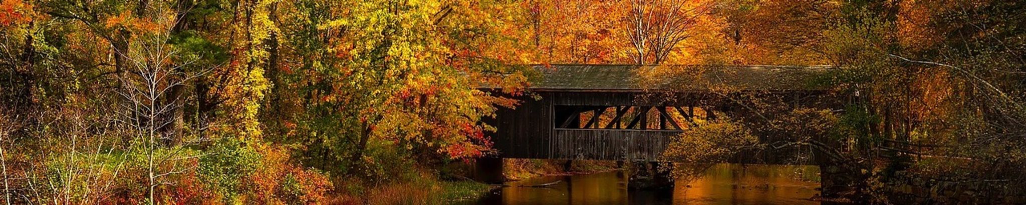 Cover for Neil A. Scott's Obituary