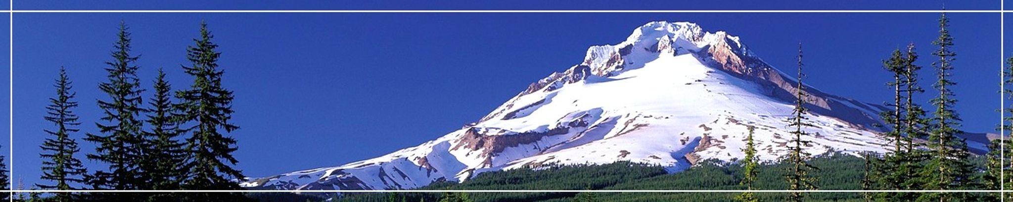 Cover for Donald Lee Tank's Obituary