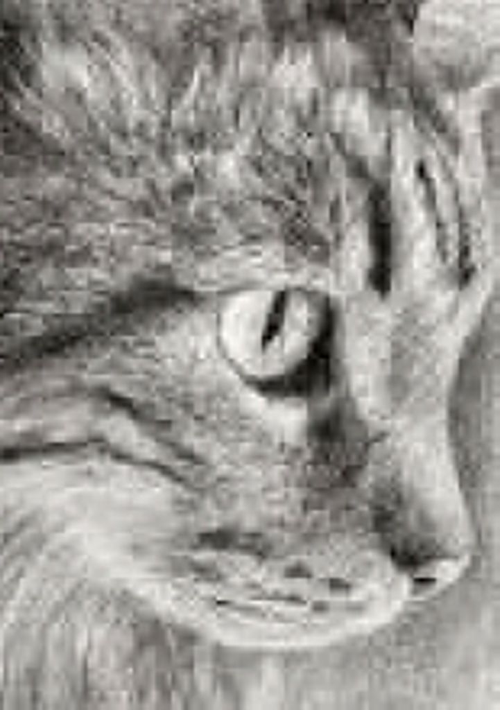 George Fox Profile Photo