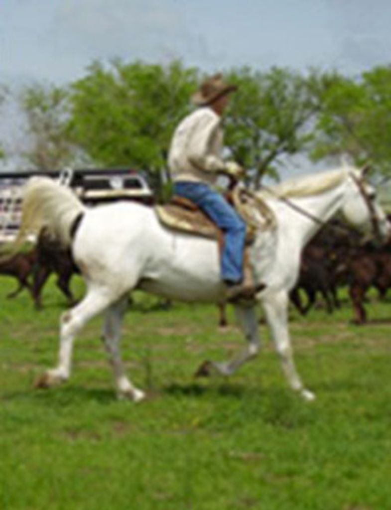 Michael Anthony Butler