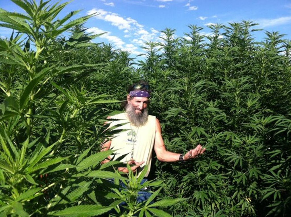 Rick Romero Profile Photo