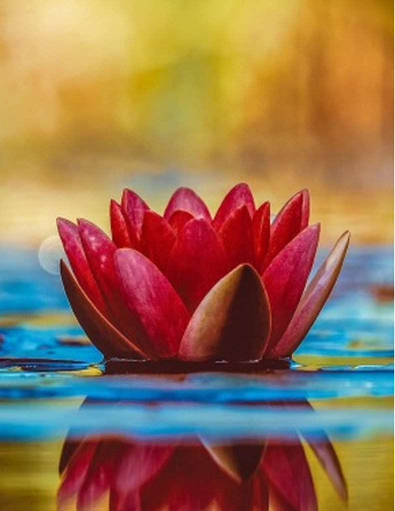 Rebecca "Becky" Lynn Marks