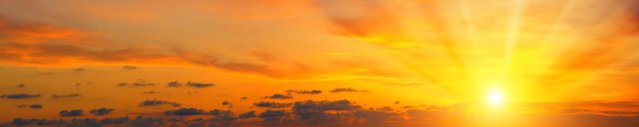 Cover photo for Johanna Mari Brower's Obituary