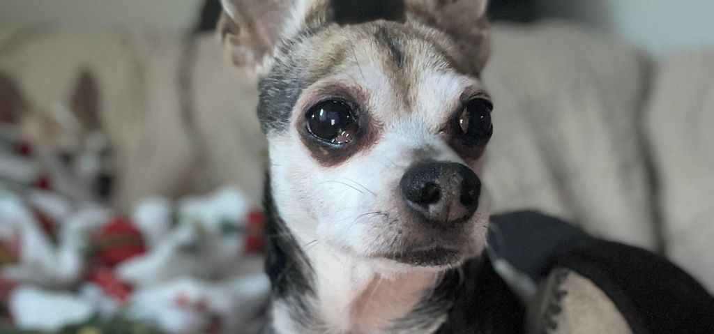 Dallas Profile Photo