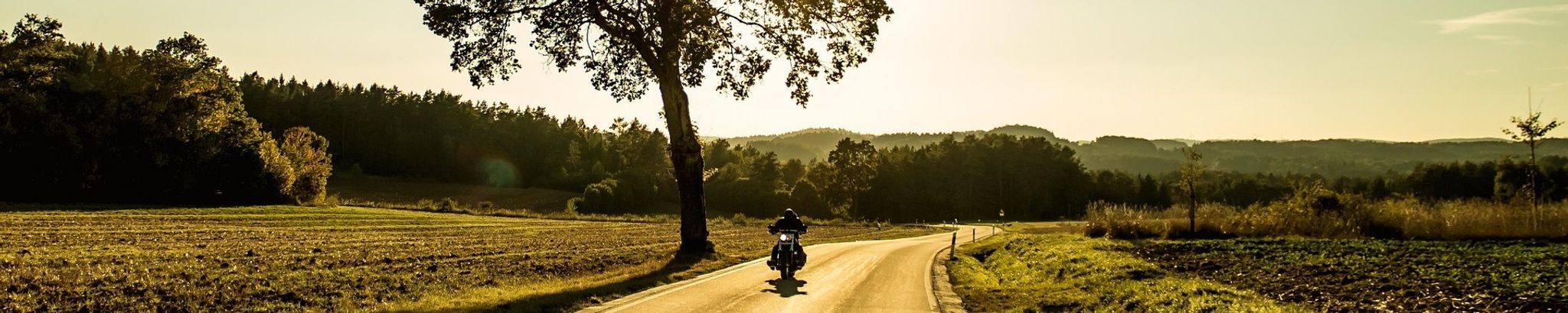 Cover for Kevin F. Tash's Obituary