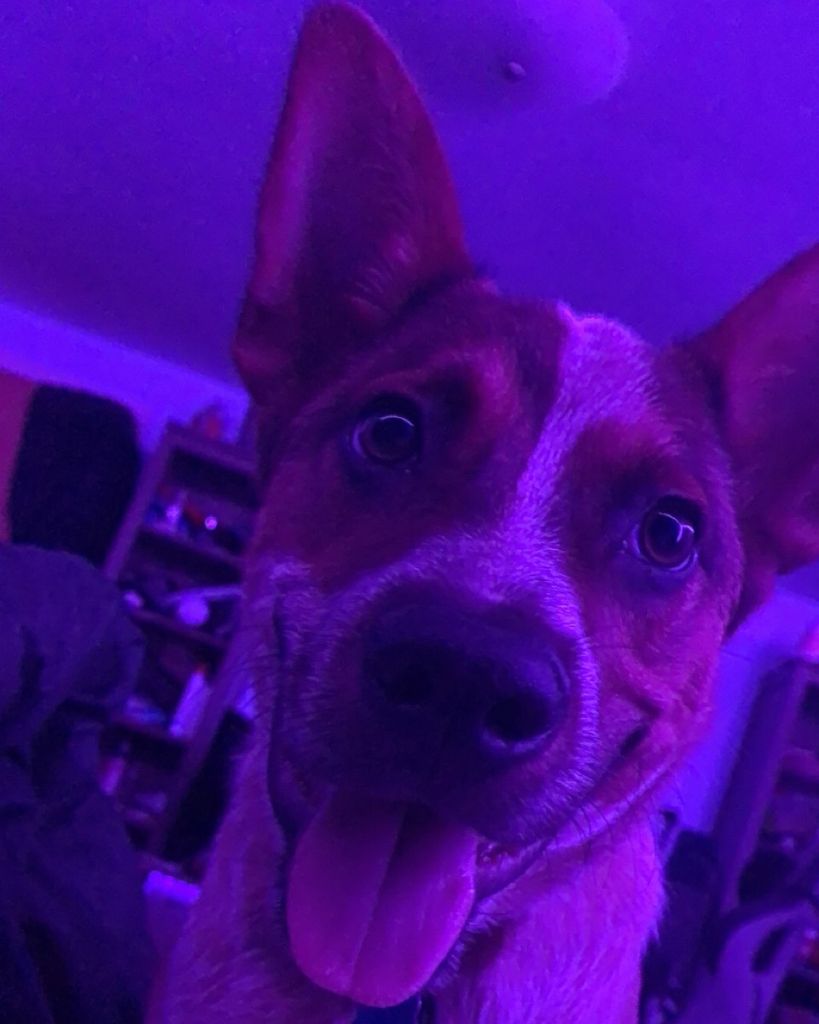 Kouvur Profile Photo