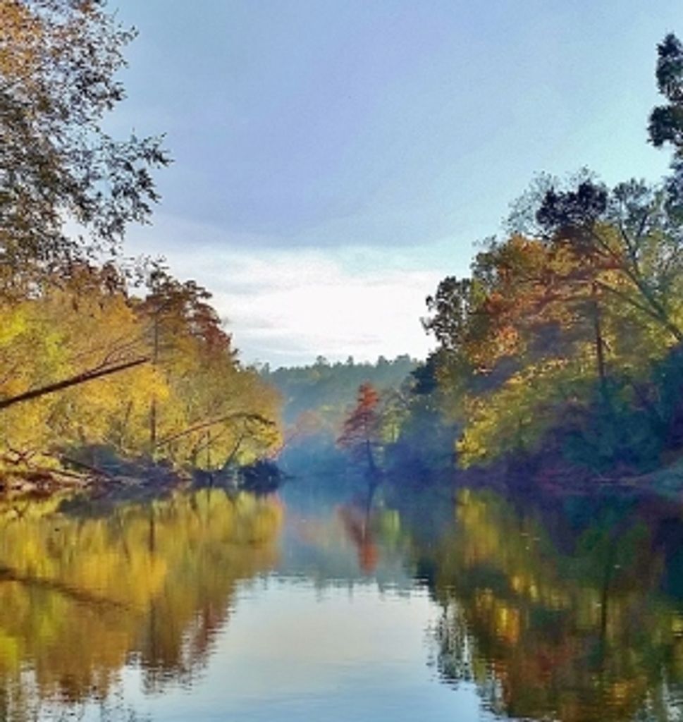 David Eddie Newcomb Profile Photo