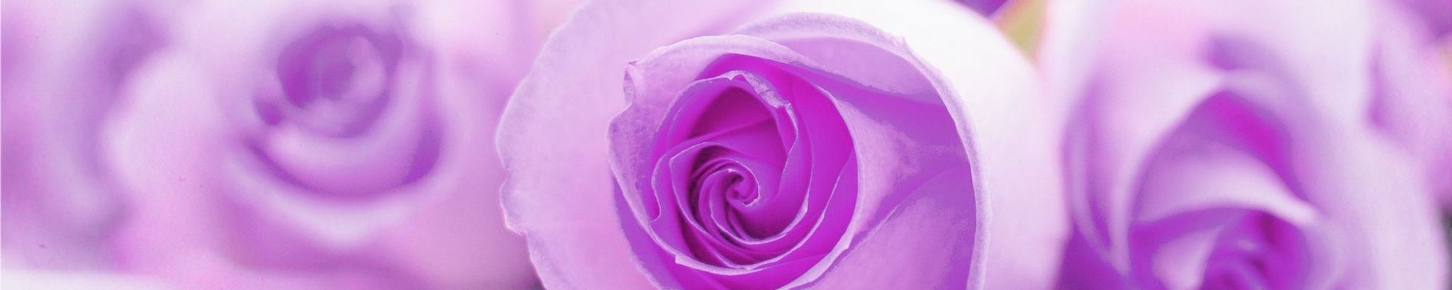 Cover photo for Leona Darlene Pepper's Obituary