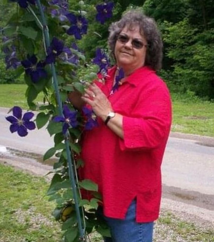 Ella Marie Daily Profile Photo