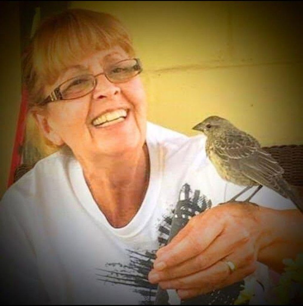 Linda Kay (Martin) Hoffman Profile Photo