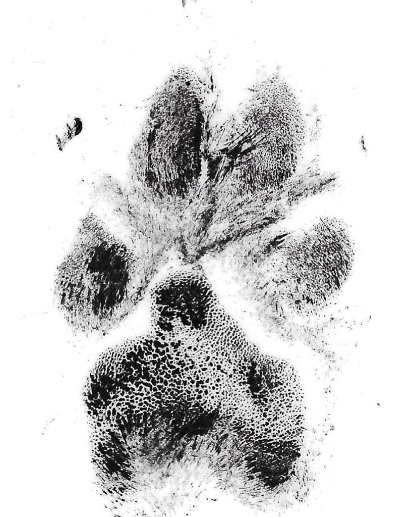 Hines Miles Profile Photo