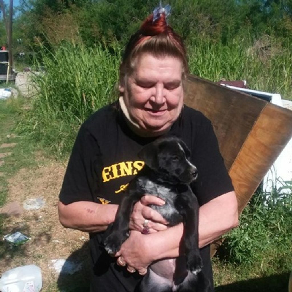 Jimmie Jo "Sam" Cruise